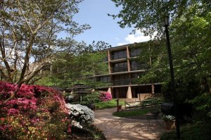 outdoors phot shoot of hotel and foliage